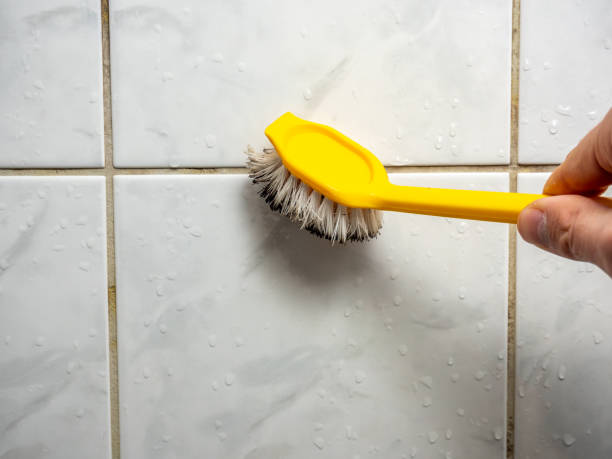 Best Same-Day Mold Removal  in Cortland, OH
