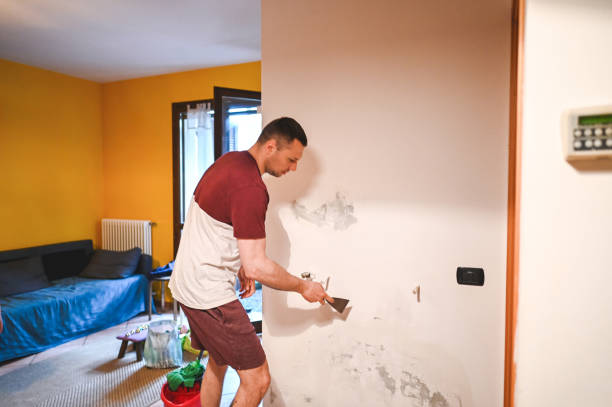 Best Certified Mold Removal  in Cortland, OH